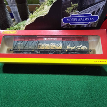 Load image into Gallery viewer, Hornby - BR Railfreight Ferry Van - Graffiti - Weathered - OO Gauge